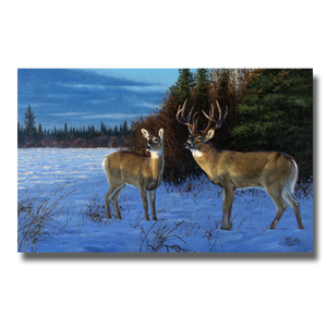 NOVEMBER GOLD (oil on panel)