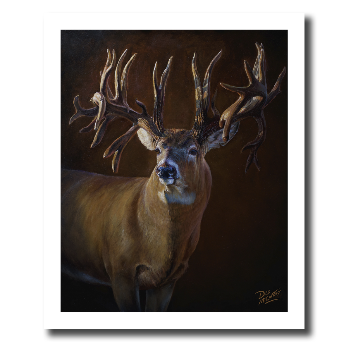 Fine art giclée print titled "The Legend” featuring a large non-typical whitetail deer buck portrait, by Canadian wildlife artist Des McCaffrey.