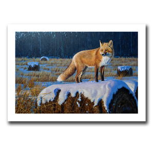 Giclée print titled “Bale Jumper” featuring a red fox surveying his domain while standing on snow covered hay bale. By Des McCaffrey.