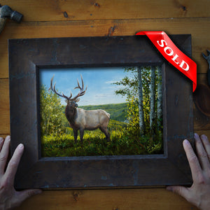 PINTO CREEK BULL (SOLD)