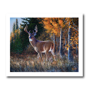 Fine art giclée print titled "Slipping Through the Aspens"  featuring a lone ten point whitetail deer in an autumn setting, by Canadian wildlife artist Des McCaffrey.