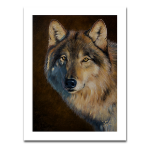 Fine art giclée print of a wolf portrait in dramatic light while it gazes intently at the viewer, by Canadian wildlife artist Des McCaffrey.